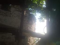 castlepark gate - 12940.jpg